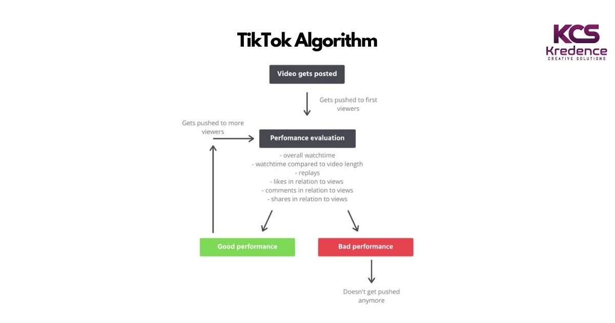 tiktok-algorithm.jpg
